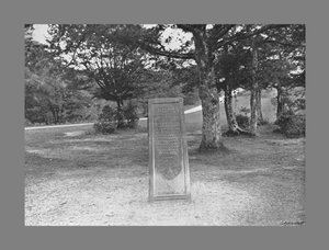 Rufus Steen, New Forest Hants, ca. 1900 door Poulton and Co