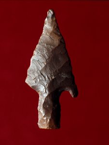 Egyptische oudheid: pijlpunten van de site van Fayoum (Fayyum of Fayum) in Egypte. Predynastieke periode. Verona, Museo Civico di Storia Naturale, Italië