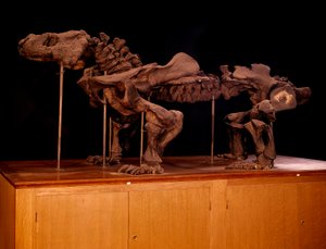 Prehistorie; dinosaurussen: skelet van ichtyosaurus door Prehistoric Prehistoric