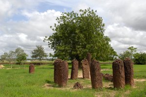 Prehistorie: Megalithische steencirkel van Wassu, Gambia (foto)