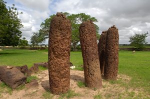 Prehistorie: Megalithische steencirkel van Wassu, Gambia (foto)
