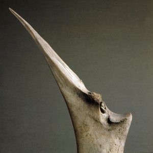 Prehistorie, Polada cultuur: punt van botten uit de Polada Tourbiere, Lonato. Bronstijd. Rome, Museo Nazionale Preistorico Etnografico Luigi Pigorini door Prehistoric Prehistoric