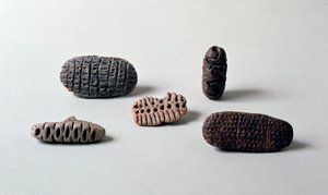 Prehistorie: verschillende pintaderas van neolithisch aardewerk