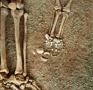 Prehistorie: dubbele begrafenis van volwassenen en kinderen. Detail van het grafgoed, bij de voeten van het kind, drie eekhoornstaarten, schelpen en stenen uit de Arene Candide grot (Finale Ligure), Ligurië. Mesolithicum, 7000-6000 v.Chr. door Prehistoric Prehistoric