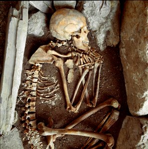 Prehistorie: vrouwelijk skelet uit de grot van de Candide Arene (Finale Ligure). Steentijd, Neolithicum. Genua, Museo di Archeologia Ligure