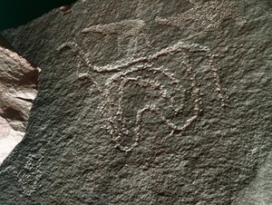 Prehistorie, rotstekeningen: een serieuze rots van de weergave van een vee. Tazina-stijl. Steentijd 5000-2000 v.Chr. Taghit, Haut plateau du Hoggar (Ahaggar), Algerije door Prehistoric Prehistoric