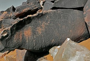 Prehistorie, rotstekeningen: grafrots met de voorstelling van vee door Prehistoric Prehistoric