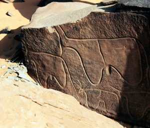 Prehistorie, rotstekeningen: grafrots met de voorstelling van vee. Tazina-stijl. Steentijd 5000-2000 v.Chr. Taghit, Hoog plateau van de Hoggar (Ahaggar), Algerije door Prehistoric Prehistoric