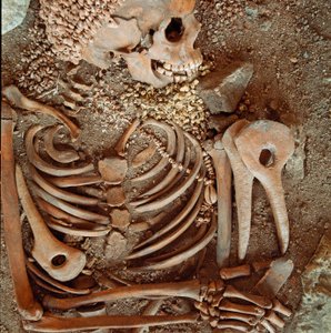 Prehistorie: skelet en grafgiften van tieners uit de grot van de Arene Candide (Finale Ligure): ketting van schelpen, hertshoorn en vuursteen. Steentijd, Boven-Paleolithicum. Genua, Museo di Archeologia Ligure door Prehistoric Prehistoric