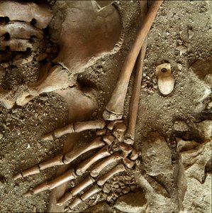 Prehistorie: tiener sepultuur. Detailweergave van het grafgeschenk uit de grot van Candid Arene (Finale Ligure), Ligurië. Boven-Paleolithicum, 24000 v.Chr. Genua, Museo di Archeologia Ligure door Prehistoric Prehistoric