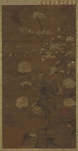 Magnolia