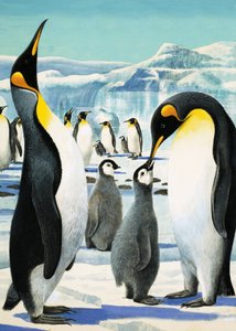 Koning Pinguïn door R.B. Davis