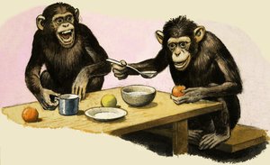 Z voor dierentuin. Chimpansee