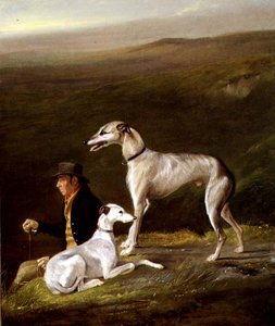 Oude Sandy, trainer van Alexander Graham, met twee windhonden in een Hooglandlandschap