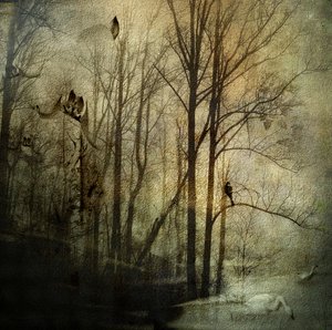  door Rachel Pansky