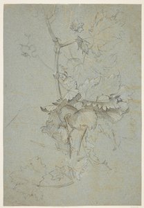 Plantenstudie
