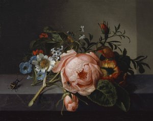 Stilleven met rozentak, kever en bij, 1741 door Rachel Ruysch