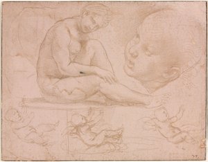 Studies van een zittende vrouw, kinderhoofd en drie studies van een baby, c. 1507-8 door Raffaello Sanzio Raphael