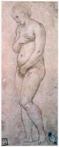 Studie van Venus, ca. 1500-1520 door Raffaello Sanzio Raphael