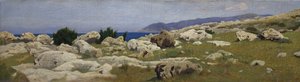 Uitzicht op Punta del Romito vanaf Castiglioncello