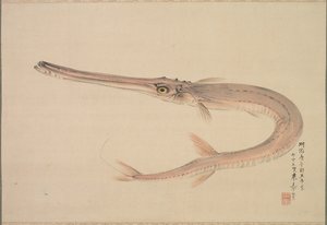 Naaldvis Yagara, 1870