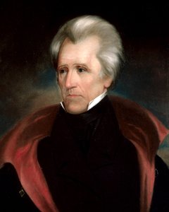 Andrew jackson hoofd (4x5 beelduitsnede)