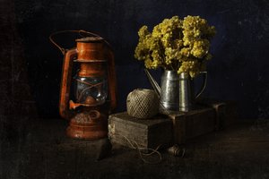  door Ramiz Sahin