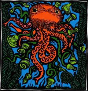 Zoölogie / Zeeleven / Octopus