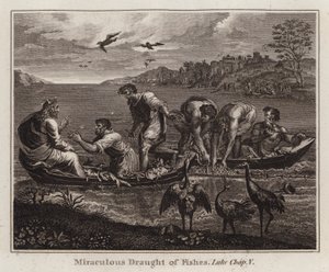 Raphael cartoon: Wonderbaarlijke visvangst, Lucas, Hoofdstuk V (gravure) door after Raphael