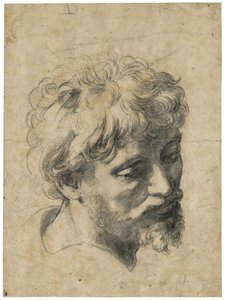 "Portret van jonge apostel" (Hoofd van jonge apostel) Houtskool op papier door Raphael (Raffaello Sanzio) (1483-1520) Privécollectie