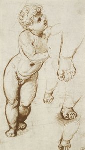 De jonge Christus en andere studies door Raphael