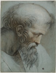Hoofd van Pythagoras door Raphael
