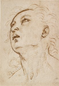 Hoofd van een jonge Man die omhoog kijkt, ca. 1497-ca. 1504
