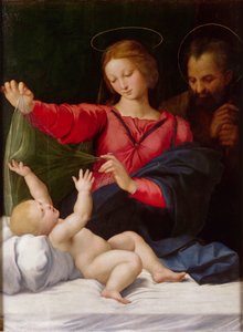  door Raphael