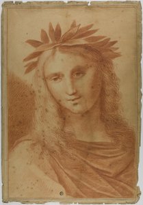 Vrouw gekroond met laurier door Raphael