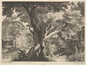 Bosrijk landschap door Raphael Sadeler