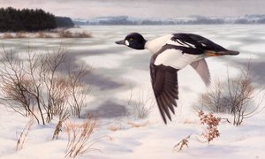 Gulden in een winterlandschap