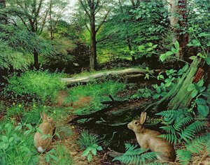 In het bos - een midzomeravond (olieverf op board) door Raymond Booth
