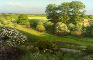 Landschap door Raymond Booth
