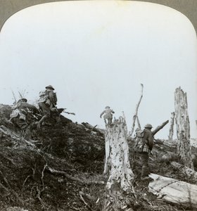 Aanval in Trones Bos, Somme, Frankrijk, Eerste Wereldoorlog, 1916 door Realistic Travels Publishers
