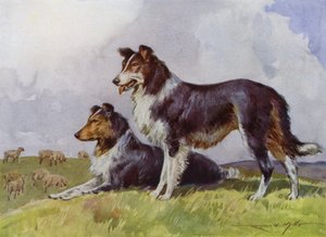 Illustratie voor Mijn Boerderij (kleur litho)