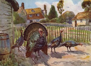 Illustratie voor Mijn Boerderij door Reginald Mills