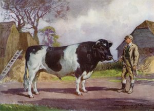 Illustratie voor Mijn Boerderij door Reginald Mills