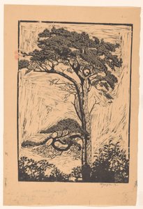 Pijnboom door Reijer Stolk (signed by artist)