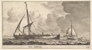 Een Samoureus door Reinier Zeeman