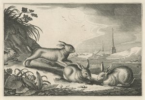 Duinlandschap met konijnen