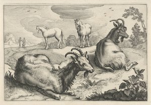 Landschap met twee geiten en twee paarden door Reinier van Persijn