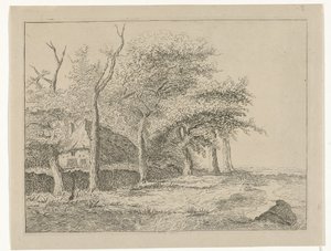 Rij bomen