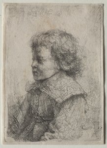Portret van een jongen in profiel door Rembrandt Harmensz. van Rijn