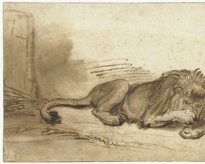 Liggende leeuw met zijn voorpoot over zijn snuit door Rembrandt van Rijn (school of)